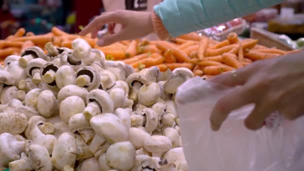 Frauenhand Zieht Pilz Aus Karton Lebensmittelgeschäft Pilze Auf Dem Markt — Stockvideo