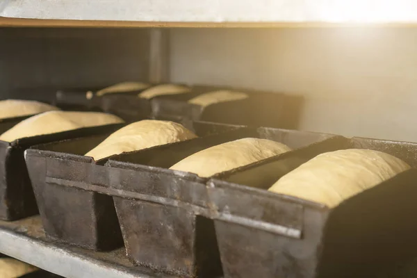 Close Bread Dough Rectangular Iron Molds Dough Molds Fits Desired —  Fotos de Stock
