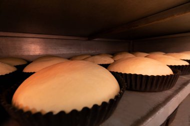 Hamur hamurunun yuvarlak şekilli fırın ürünleri için yakın plan raflarda duruyor ve pişirmeden önce istenen koşullara ulaşıyor, fırından ışık çıkıyor.