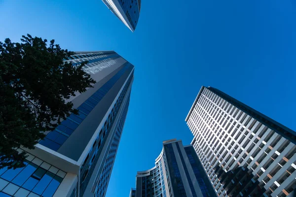 Modern Glass Buildings City Sunny Clear Day Blue Sky Photo — ストック写真