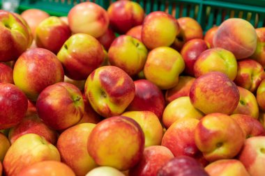 Close-up of delicious ripe red and yellow apples on the counter in the store. Sale of fruits at the market and in the supermarket
