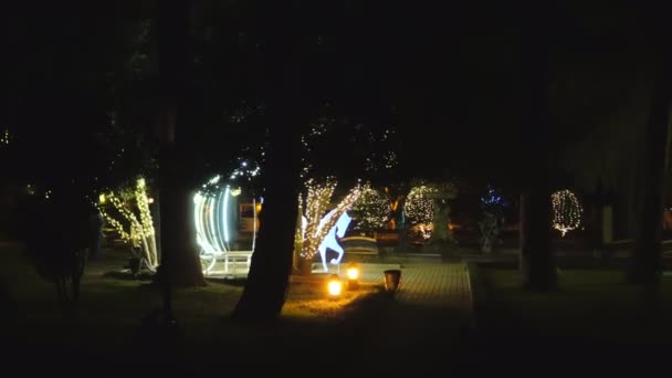 Luces Hadas Parque Navidad Por Noche Batumi Georgia — Vídeos de Stock