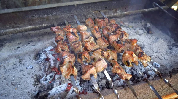 Kebab Conservado Escabeche Cozinha Grelha Brasas Churrasco Popular Europa Oriental — Fotografia de Stock