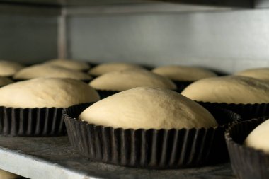 Yuvarlak demir kalıplarda ekmek hamuru yakın plan. Fabrikadaki fırında pişirmeden önce kalıplardaki gübre istenen duruma uyuyor.