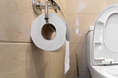 Tuvaletin yanındaki duvarda asılı duran tuvalet kağıdı rulosunun yakın çekimi, seçici odak