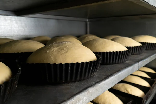 Close-up of bread dough in round iron molds. Dough in the molds fits to the desired condition before baking in the oven at the factory