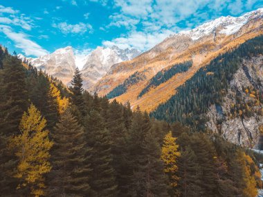 Beautiful view from the drone of the autumn mountains, snow-capped mountains and blue sky with clouds. Landscape photo of a drone with mountains and trees painted in autumn colors