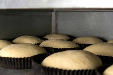 Yuvarlak demir kalıplarda ekmek hamuru yakın plan. Fabrikadaki fırında pişirmeden önce kalıplardaki gübre istenen duruma uyuyor.