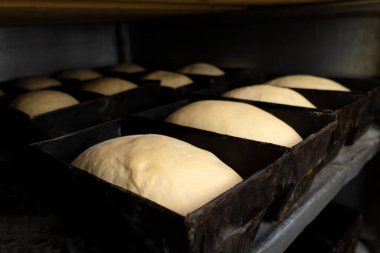 Ekmek hamurunu dikdörtgen demir kalıplara yakın çekim. Fabrikadaki fırında pişirmeden önce kalıplardaki gübre istenen duruma uyuyor.