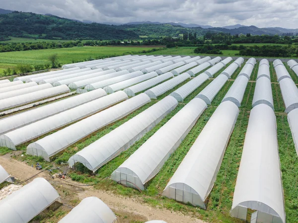 Close Drone View Greenhouses Lined Covered White Film Growing Vegetables — Foto de Stock
