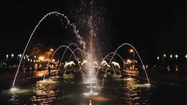 Nightlife City Batumi Georgia Night Singing Fountains Entertain People Square — Wideo stockowe