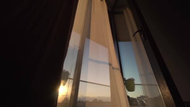 Встановленні Сонця Прозора Фламінгова Завіса Кімнаті Розвивається Вікном Балконі Клітинах — стокове відео