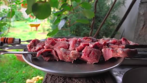 Fresh Raw Pork Beef Meat Skewers Close Plate Background Park — Stock videók