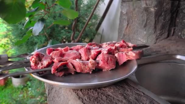 Fresh Raw Pork Beef Meat Skewers Close Plate Background Park — Vídeos de Stock