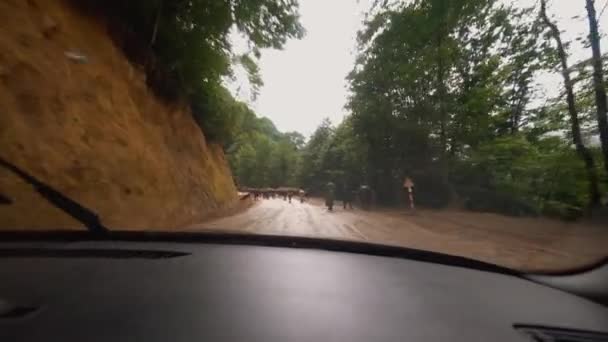 First Person View Car Moves Rain Washed Road Camera Shoots — Video Stock