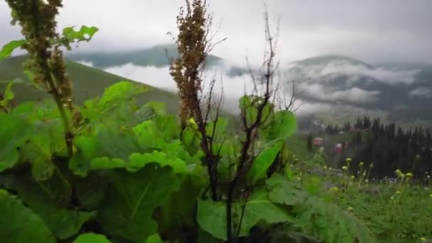 Village Mountain Valley Mountain Valley Rural Landscape Beautiful Georgian Mountains — Stockvideo