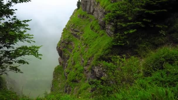 Rural Spring Landscape Valley Fog Oblags Height Bird Flight Clouds — 图库视频影像