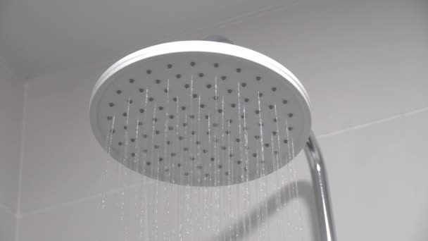 Fresh Shower Splashes Water Droplets Water Flows Shower Head Faucet — Vídeos de Stock