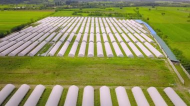 Modern greenhouses Landscape Agricultural industrial complex lined up in row, covered with transparent film of growing vegetables and fruits. Texture of greenhouse roofs. Farming, bio products