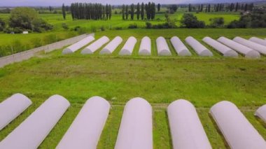 Modern greenhouses Landscape Agricultural industrial complex lined up in row, covered with transparent film of growing vegetables and fruits. Texture of greenhouse roofs. Farming, bio products