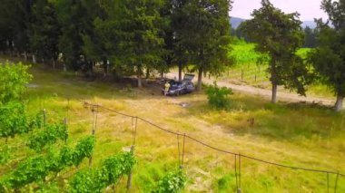Aerial Drone panorama of vineyards and agricultural fields in Kakheti in Georgia. View of drone from car with two people travelers, drone flies away and shows valley with mountains.