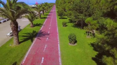 Bike path along palm alley near pebble beach overlooking blue sea and clear blue sky, Batumi Georgia, drone view. Red bike road in park in city.