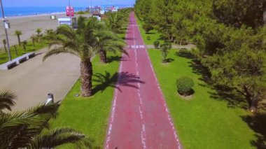 Bike path along palm alley near pebble beach overlooking blue sea and clear blue sky, Batumi Georgia, drone view. Red bike road in park in city.