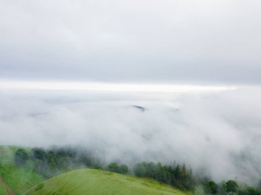 Beautiful view from the drone to the mountains with green trees in the clouds. Mountains in the clouds at dawn in summer. Aerial view from a drone of a mountain valley in low clouds