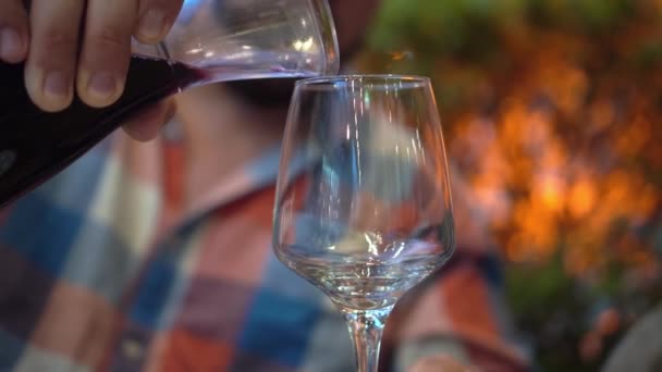Erkek Eli Bir Bardak Kırmızı Şarapla Livacette Yakınlaşır Sakallı Bir — Stok video