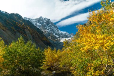 Güneşli bir günde, güzel bir sonbahar havası, Chalaadi buzulu, Svaneti, Mestia, Gürcistan.