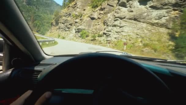 Volante Mão Humana Vista Paisagem Natural Dentro Carro Estrada Floresta — Vídeo de Stock