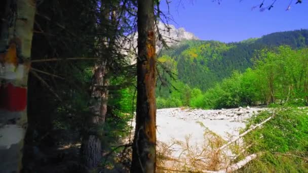 Une Image Paysage Avec Rivière Passant Travers Les Montagnes Rocheuses — Video