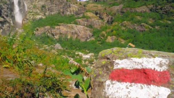 Hermosa Cascada Georgia Shdugra Atracción Turística Flores Rosadas Montaña Crecen — Vídeos de Stock