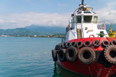 Tamara gemisi, güneşli bir günde Batumi limanında, arka planda dağlara karşı.