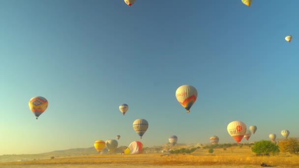 Ballonger Bakgrunden Blå Himmel Utan Moln Ballonger Himlen Kappadokien Turkiet — Stockvideo