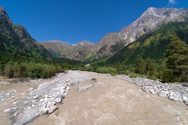 Güzel, güneşli bir manzara, dağ nehri, dağlar ve kozalaklı ormanlar arasında.