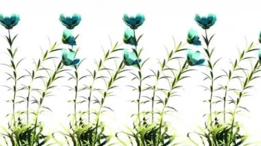 Vahşi Çiçekler Botanik Çiçek 3D Yapılandırma