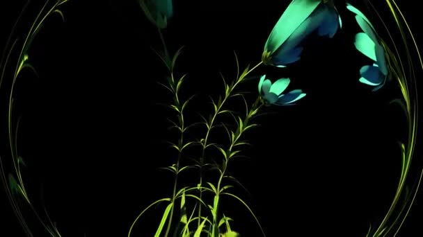 Vahşi Çiçekler Botanik Çiçek Yapılandırma — Stok video