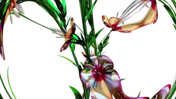 Atkinsiana Botanical Flowers Rendering — Stock Video