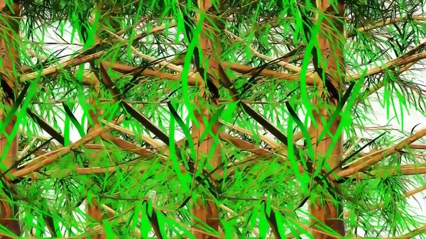 云杉乔木植物3D渲染 — 图库照片