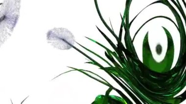 Karahindiba Tohumları Botanik 3B Hazırlama