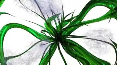 Karahindiba Tohumları Botanik 3B Hazırlama