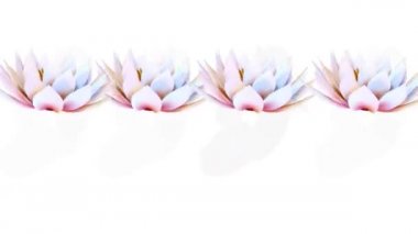 Sulu Botanik Çiçek 3B Hazırlama