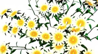 Beyaz Çiçek Botanik 3B Hazırlama