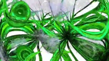 Karahindiba Tohumları Botanik 3B Hazırlama