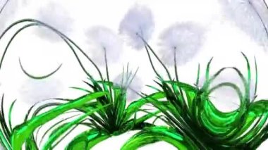 Karahindiba Tohumları Botanik 3B Hazırlama