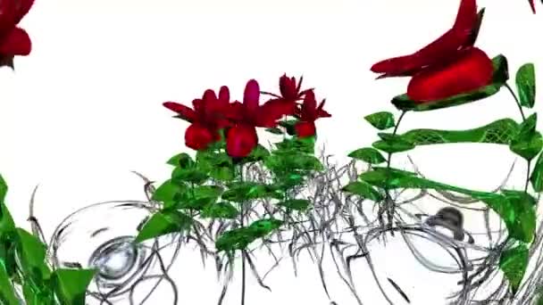 Широкий Лист Ботанічного Рендерингу — стокове відео