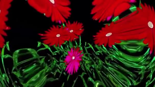 Aster Botanical Flowers Rendering — стоковое видео