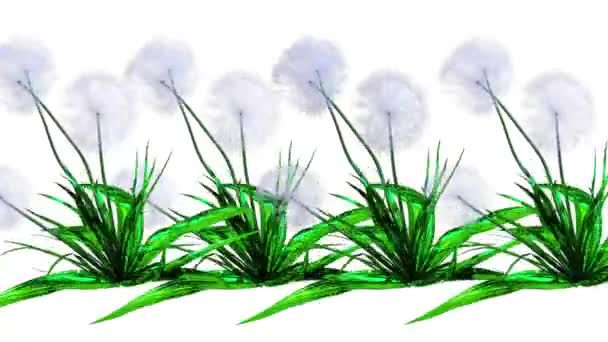 蒲公英种子植物3D渲染 — 图库视频影像