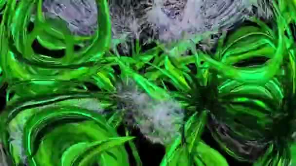 Dandelion Seeds Botani Rendering — Stok Video